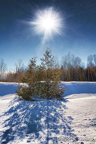 Sunny Snowscape_33499.jpg - Photographed near Smiths Falls, Ontario, Canada.